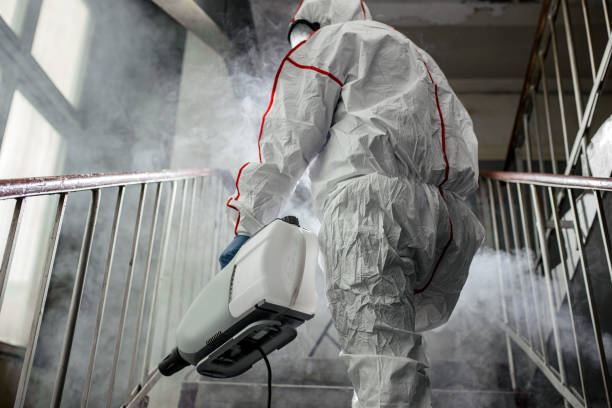 Trusted White Hall, WV Mold Removal Experts